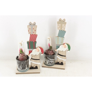 arr4 Hyacint FL - Santa pakketdienst