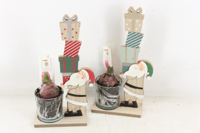 <h4>arr4 Hyacint FL - Santa pakketdienst</h4>