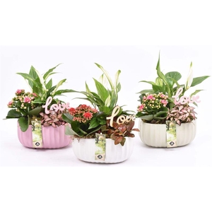 Keramiek ovaal mix kleur 18,5x12cm