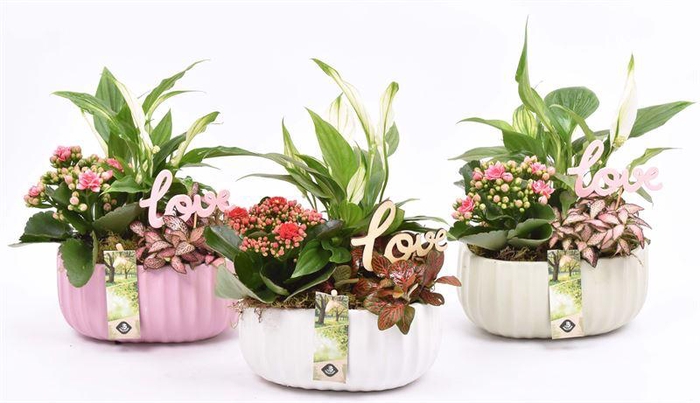 <h4>Keramiek ovaal mix kleur 18,5x12cm</h4>