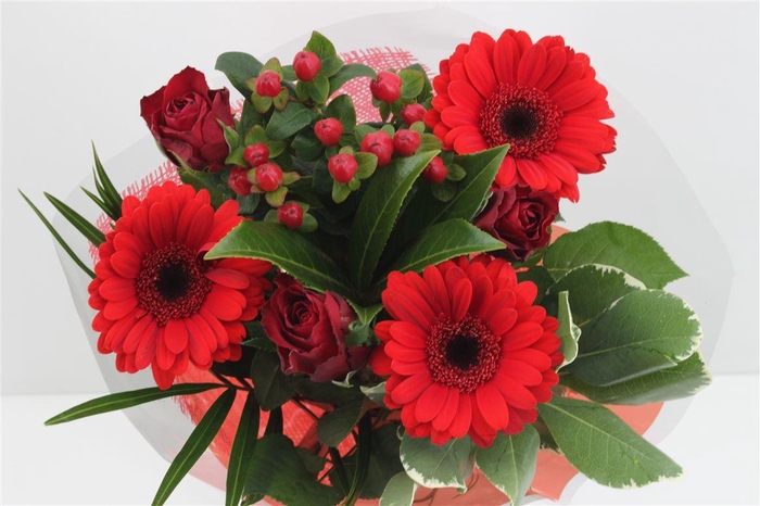 <h4>Boeket Lisa Rood</h4>