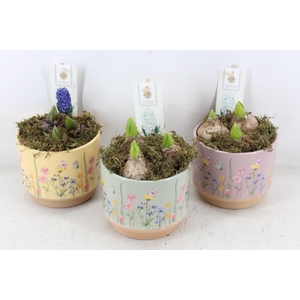 arr4 Hyacint FL - Keramiek blooming mix x6