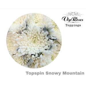 Chr G Topspin Snowy Mountain