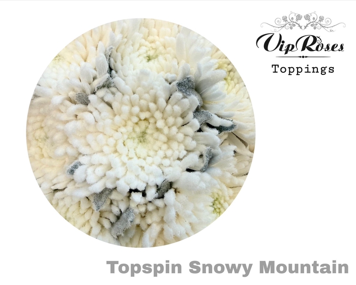 <h4>CHR G TOPSPIN SNOWY MOUNTAIN</h4>