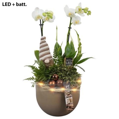 <h4>PTCHB9741 Arrangement Christmas Bronze in keramiek pot</h4>