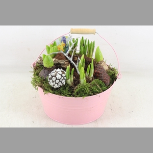 arr4 Bollenmix VL - Emmer pink 250/2