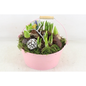 arr4 Bollenmix VL - Emmer pink 250/2