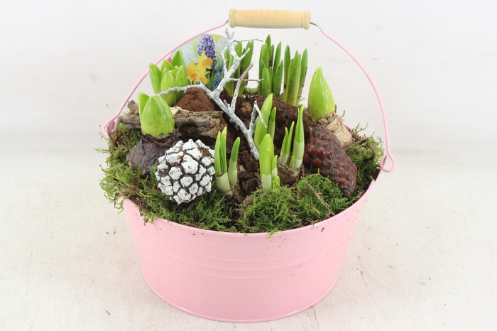 <h4>arr4 Bollenmix VL - Emmer pink 250/2</h4>