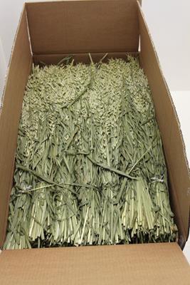 <h4>Droog Haver X25</h4>