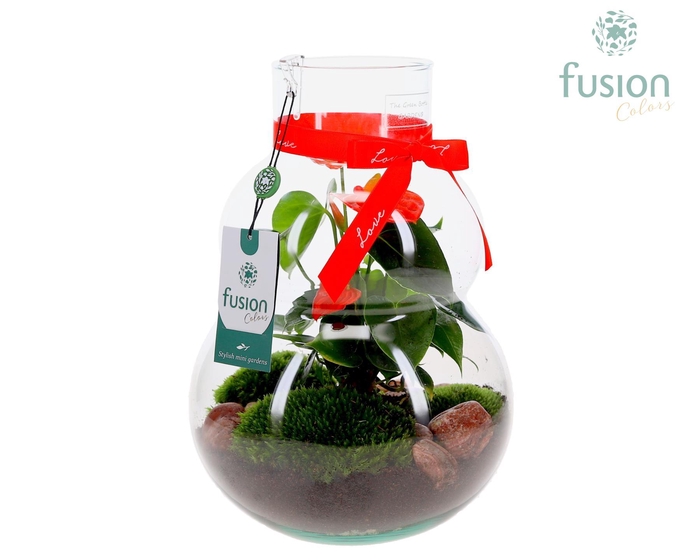 <h4>Green Bottle Olaf Medium met Love arrangement</h4>