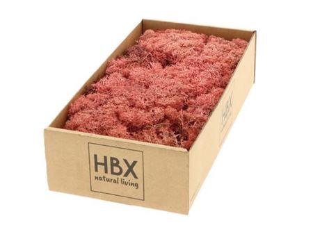 <h4>Moss Reindeer Moss 500gr Pink</h4>