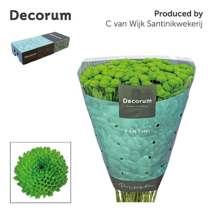 <h4>Chr S Country decorum box</h4>