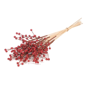 Ilex Berry O/s 10pc Red Spring