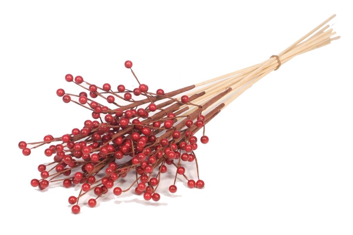 <h4>Ilex Berry O/s 10pc Red Spring</h4>