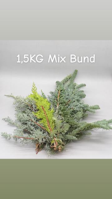 <h4>KERSTGROEN OV BS</h4>