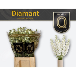DELPH DU DIAMANT 70CM X40