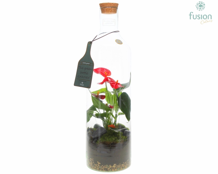 <h4>Green Bottle Fles Large met Anthurium</h4>