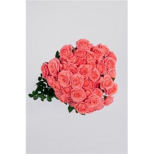 R Gr Tr See You Soon