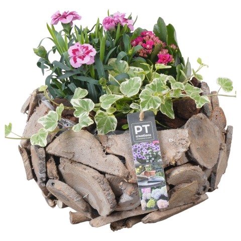 <h4>PTPP3207 Arrangementen Tuinplanten</h4>