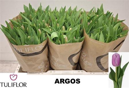 <h4>Tu En Argos</h4>