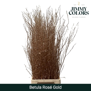 Betula L120 Mtlc.rose Gold
