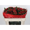 Hypericum True Romance Spray