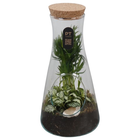 <h4>PTGIG2187 Arrangementen kamerplanten groen</h4>