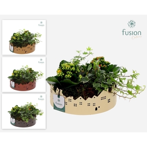 Zinken schaal Huisjes Large met Voorjaar arrangement