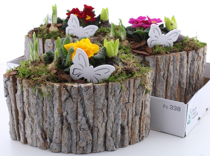 <h4>ARR PL IN SCHAAL</h4>