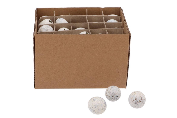 <h4>Eggs Quail Stonewash White P/60</h4>