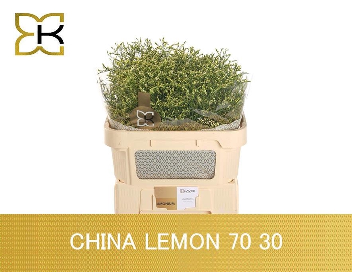 <h4>LIM SIN CHINA LEMON</h4>