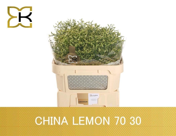 <h4>LIM SIN CHINA LEMON</h4>