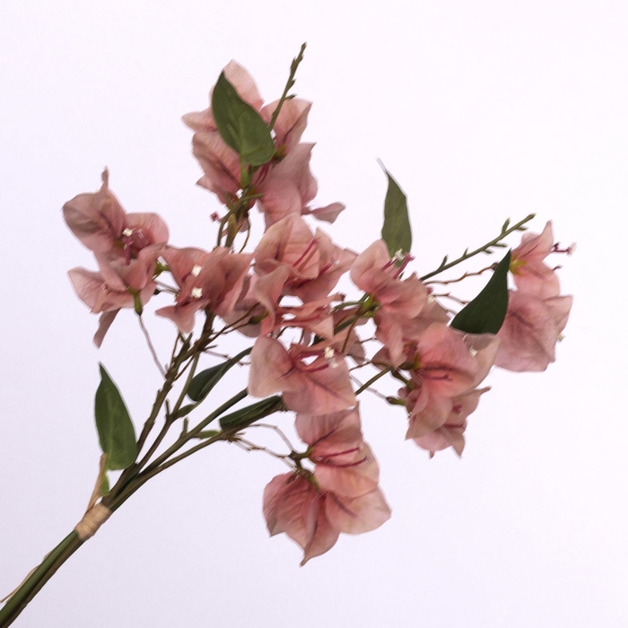 <h4>Bougainvillea Bundle Peach BK770001PEA</h4>