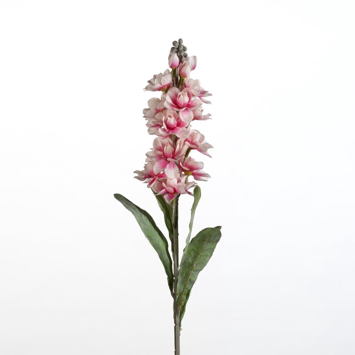 <h4>AF Matthiola L78cm pink</h4>