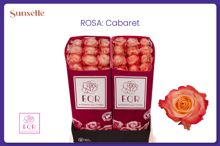 <h4>R GR CABARET</h4>