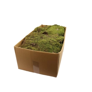 Dried articles Moss 2kg