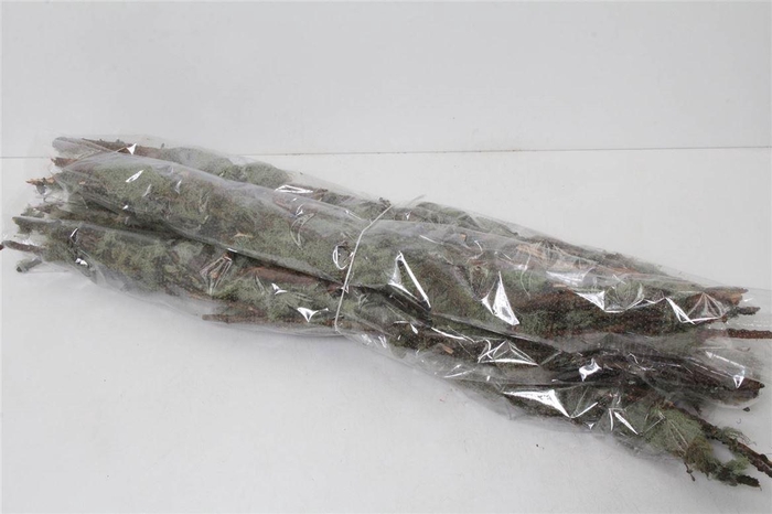 <h4>Kosmos 500gr (p. Bos)</h4>