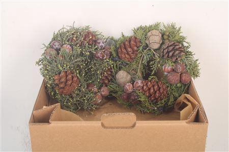 <h4>Krans Adv Cone Mix 6 20cm</h4>