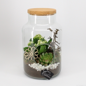 ESCR-2412 Essentials terrarium