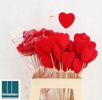 <h4>HARTJE OP STOK H%</h4>