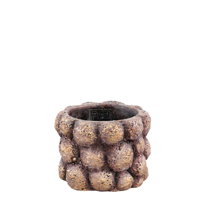 <h4>Promo Gen pot d12*09cm</h4>