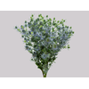 ERYNGIUM 040 CM