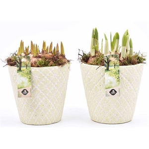 Cement pot l.groen 14cm