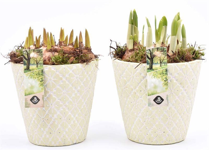 <h4>Cement pot l.groen 14cm</h4>