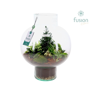 Green Bottle Laura Large met Kerst arrangement met LED