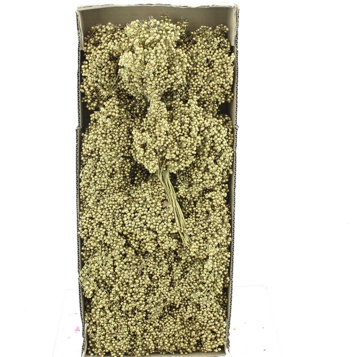<h4>Dried Pepper Berries Gold</h4>