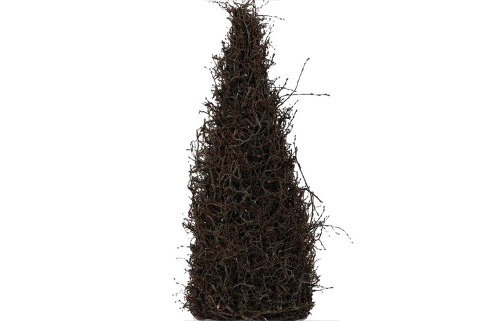 <h4>Cone Bonsai H165 Naturel</h4>