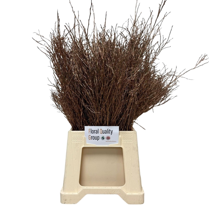 <h4>VACC KLB H%</h4>