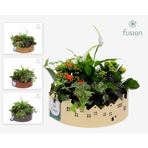 Zinken schaal Huisjes Large met Pasen arrangement