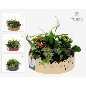 Zinken schaal Huisjes Large met Pasen arrangement